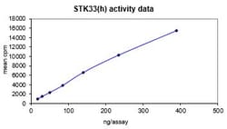 Eurofins DiscoverX STK33 Protein, Active 10 &mu;g | Buy Online | Eurofins DiscoverX | Fisher Scientific